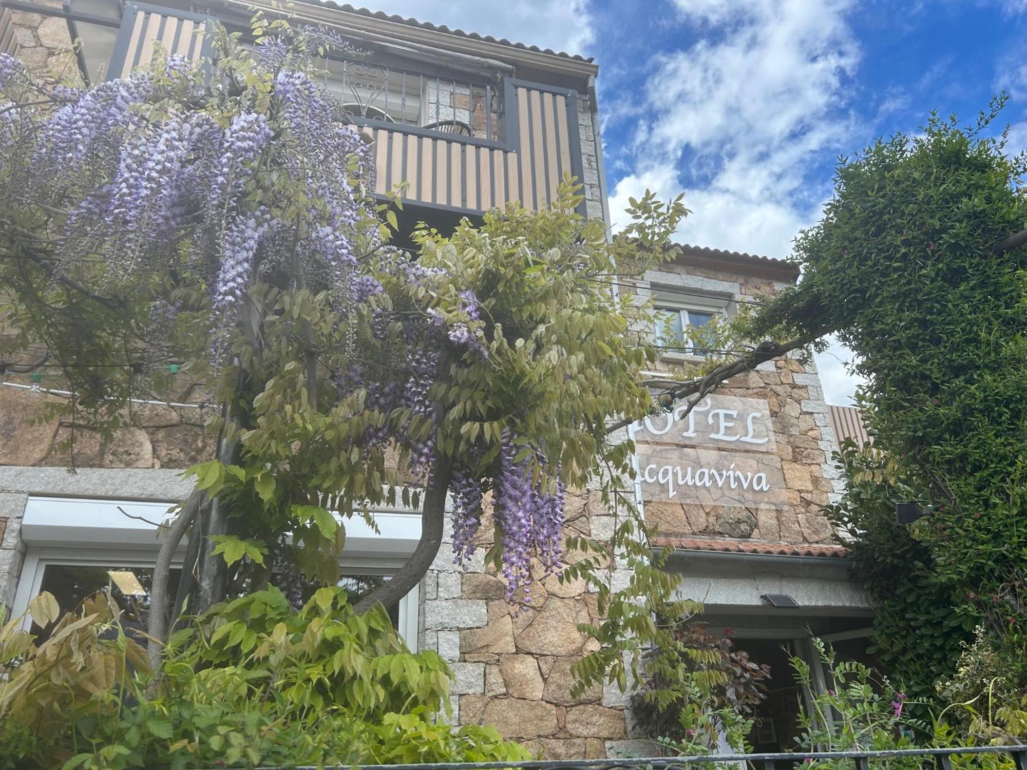 L'Acqua Viva Ξενοδοχείο Calacuccia Εξωτερικό φωτογραφία